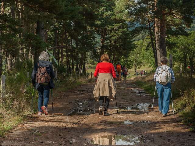 Balade Jeunes Promeneurs des Fagnes