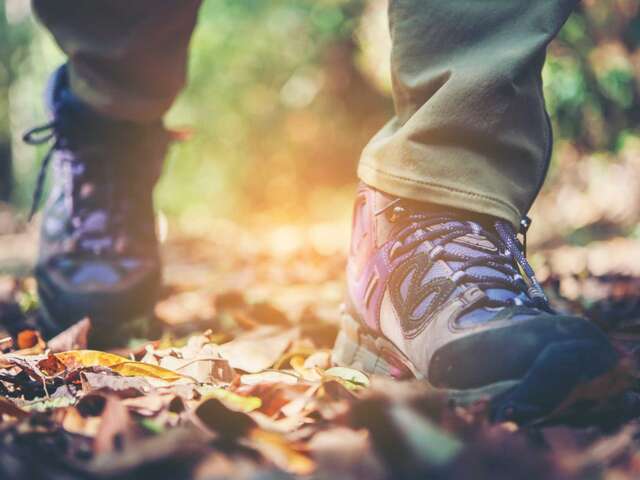 Balade de l’office du tourisme - "Poucet entre champs et vergers"
