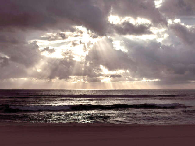 Iphigénie, Agamemnon, Électre - Théâtre