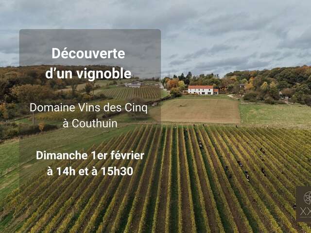 Découverte d'un savoir faire d'un vignoble wallon