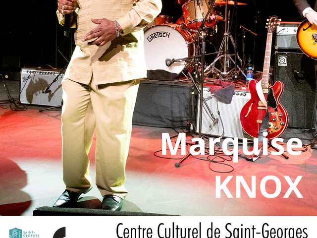 Iguana Café - Marquise Knox