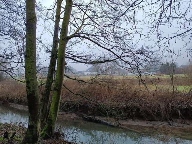 A l’écoute du vivant, préserver la musique du paysage