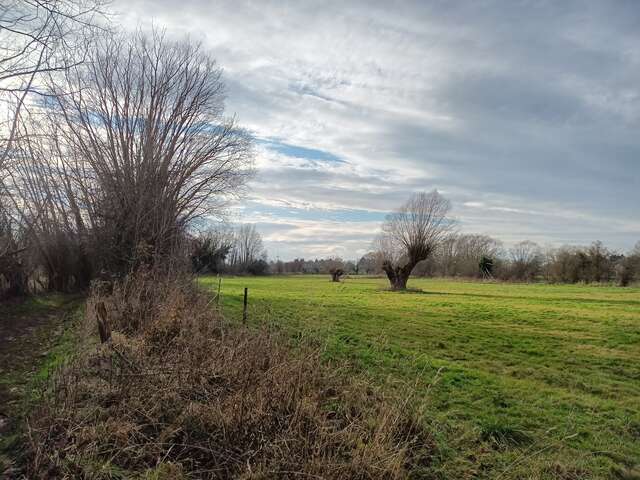 L’eau façonne le vert, récit d’un équilibre en mouvement
