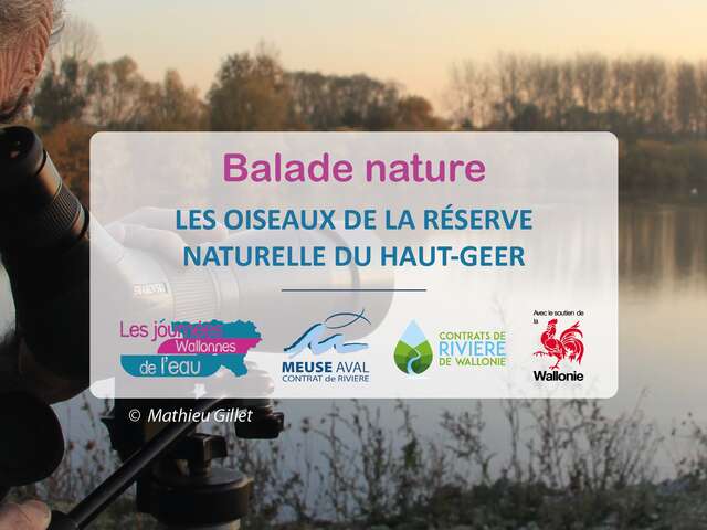 Les oiseaux de la Réserve naturelle du Haut-Geer