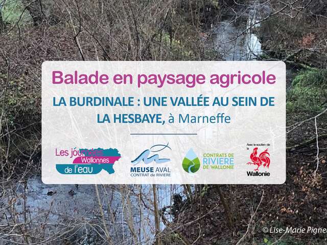 La Burdinale : une vallée au sein de la Hesbaye