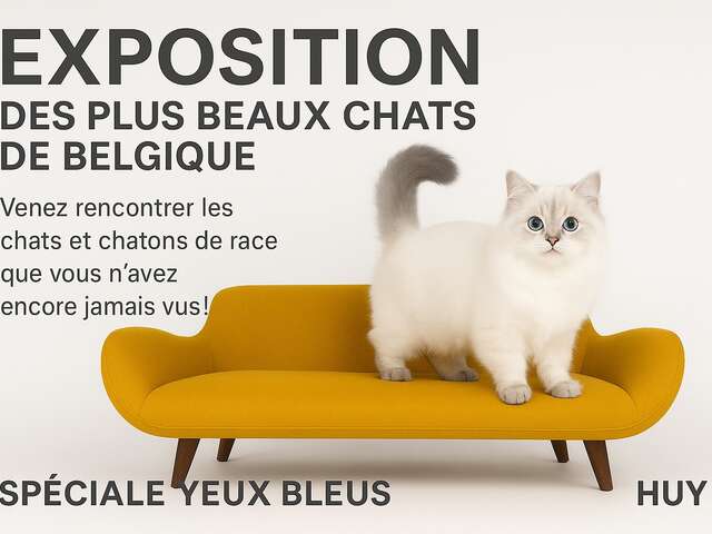 Exposition des plus beaux chats de Belgique