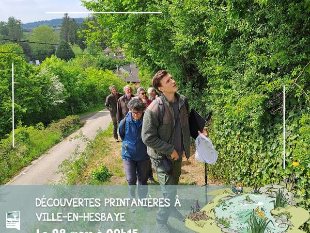 Découvertes printanières à Ville-en-Hesbaye