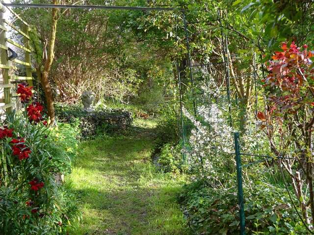 Ouverture d'un "jardin punk"