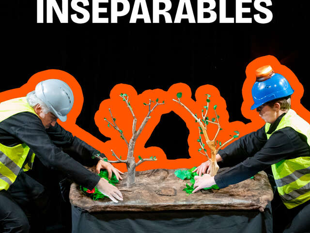 Inséparables