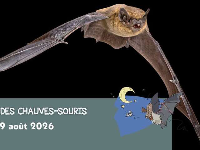 Nuit européenne des chauves-souris