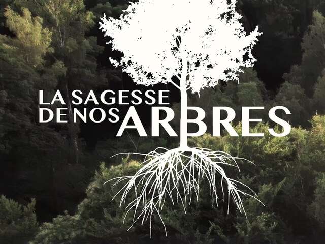 La sagesse de nos arbres