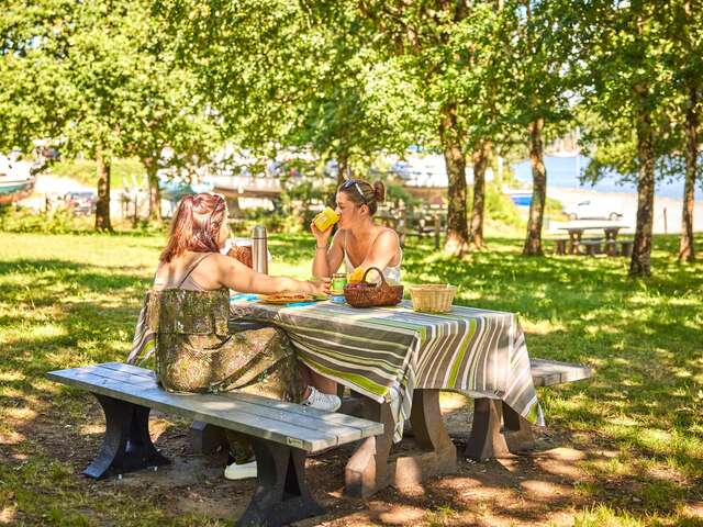 Aire de pique-nique de Vieille Roche