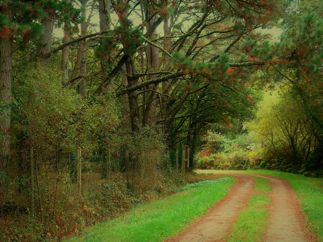 Le GR®39 : La Grande Traversée Bretonne