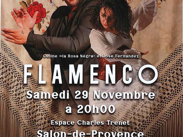 Spectacle : Soirée flamenco