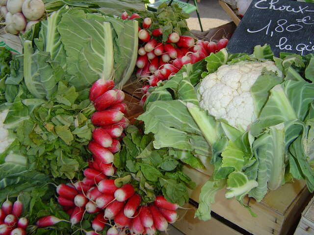 Marché hebdomadaire de Saint-Omer quartier Perpignan