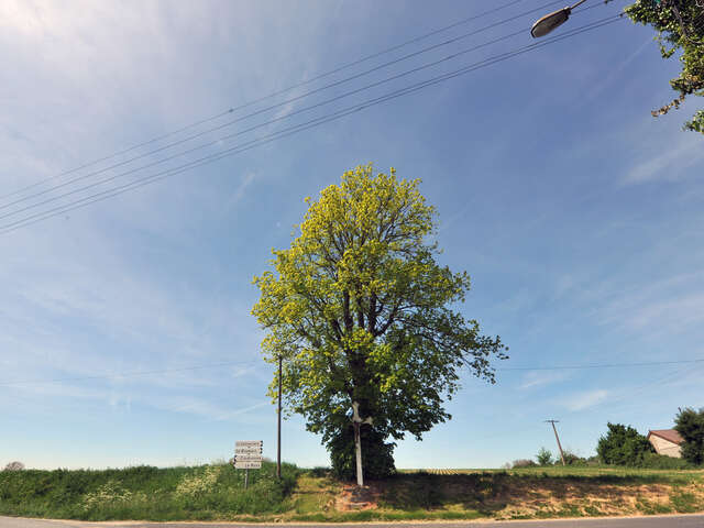 Le Sentier de Laprée - Version courte