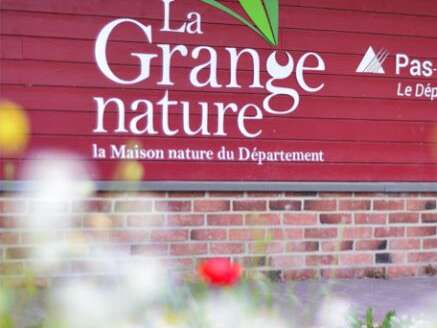 EXPO | "Nature audomaroise" par Lisa Le Gouard