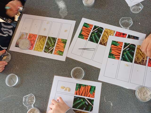 ATELIER 9 à 12 ans | Dans la peau d'un archéologue