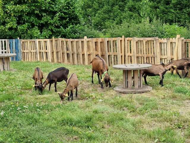 La Ferme La Chev'riotte