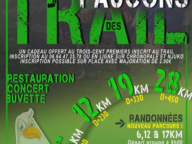 SPORT | 6e Trail des Faucons à Fauquembergues