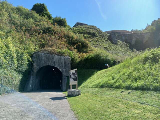 ATELIER | Art of Remembrance (dès 12 ans)