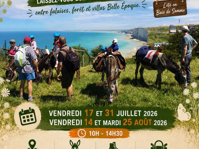 Rando'Ânes au Bois de Cise