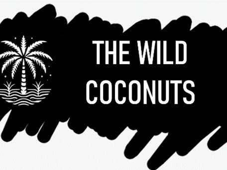 Scène d'Été au quartier balnéaire d'Onival : The Wild Coconuts