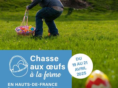 Chasse aux oeufs à la ferme