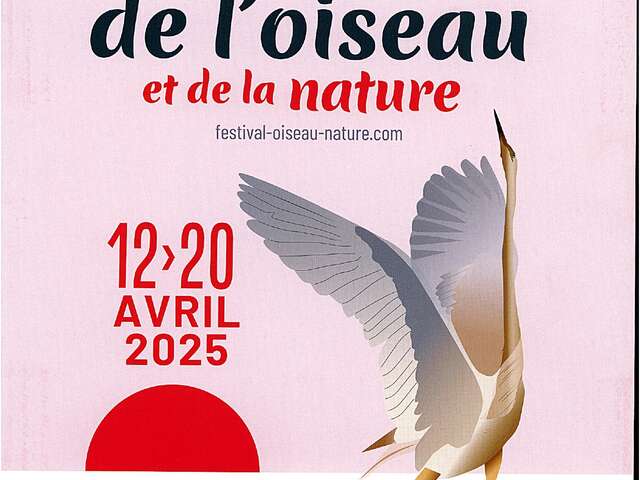 Festival de l'oiseau et de la nature - Découverte des animaux du bord de mer