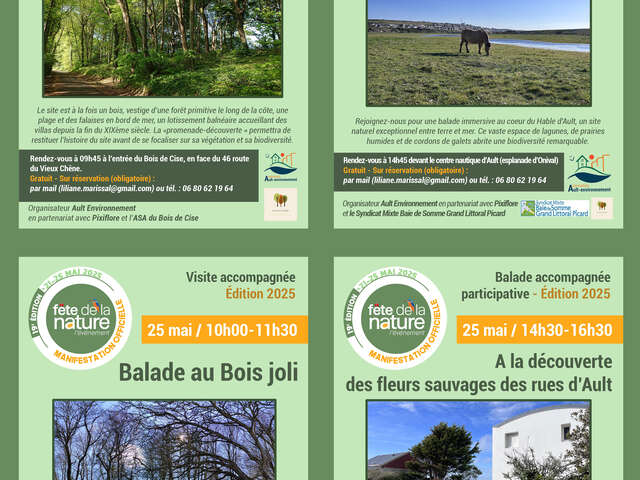 Visite accompagnée : A la découverte du Bois de Cise - Fête de la Nature