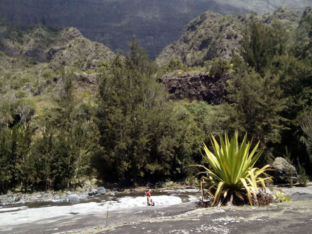 Agence Aventure La Réunion - A.A.R