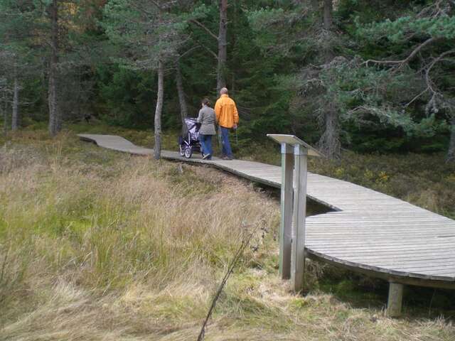 Sentier d'interprétation - A la découverte d'une Tourbière - boucle de 1 km