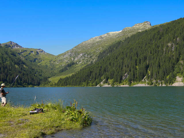 Fish in lakes & rivers around Hauteluce