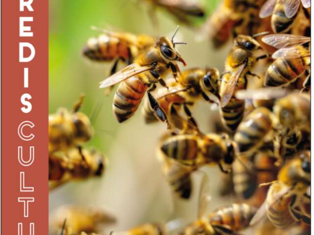 Kulturelle Freitage – „Bienen: Wächter der Umwelt“