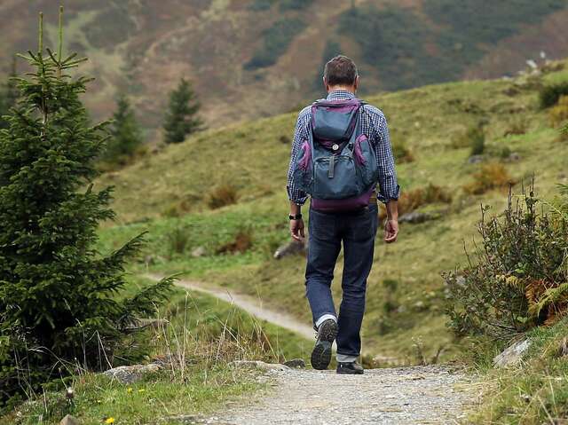 Le Chemin de Montaigne - GR®89 en Loire Forez