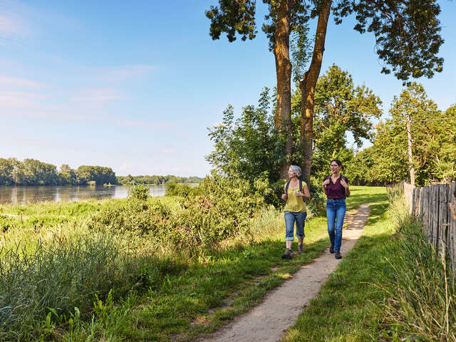 The Loire and the horticultural fields