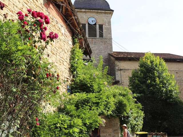 Balade découverte, Journans village de vignerons