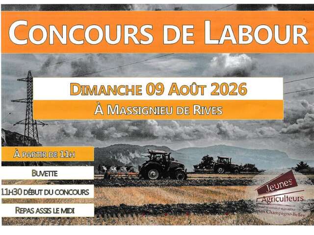 Concours de labour cantonnal