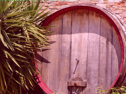 Vignobles de Bandol, Cassis, le Castellet