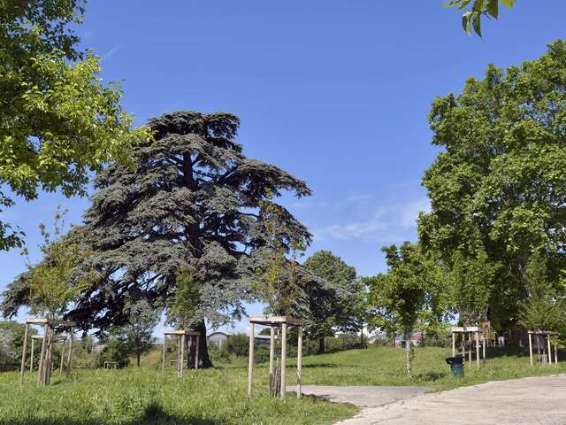 Parc de la Pelouque