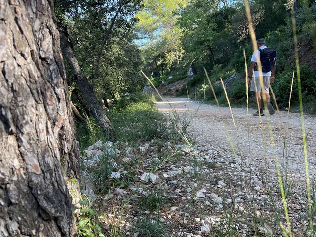 Les charbonnières de la Sainte-Baume - Journée