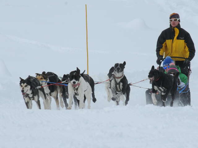 Tarentaise Traîneau Mushing