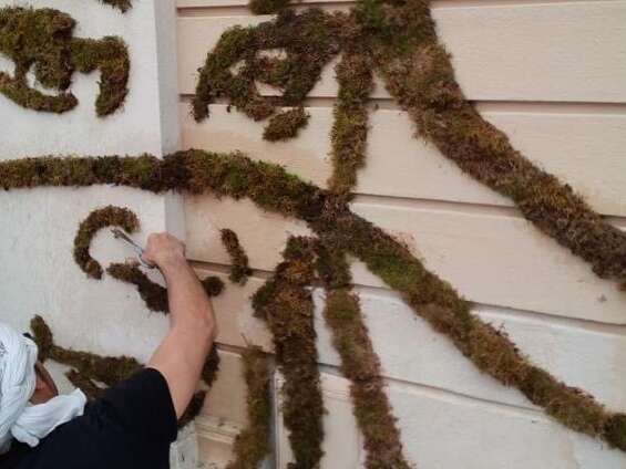 Atelier grafiti végétal