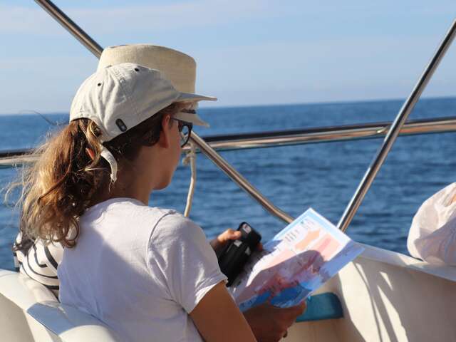 Sea Days - Exploring the French-Italian Coastline