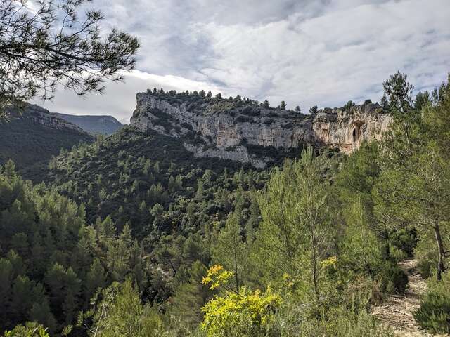 1/2 Journée - Randonnée "A la tombée de la nuit" - Auriol