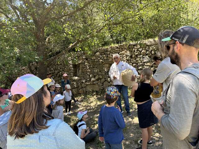 Découverte des abeilles de la Font de Mai - 1/2 journée