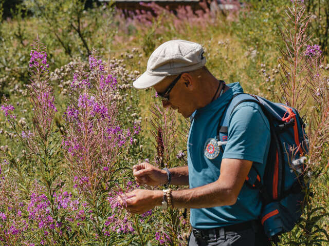 The Herb Trail