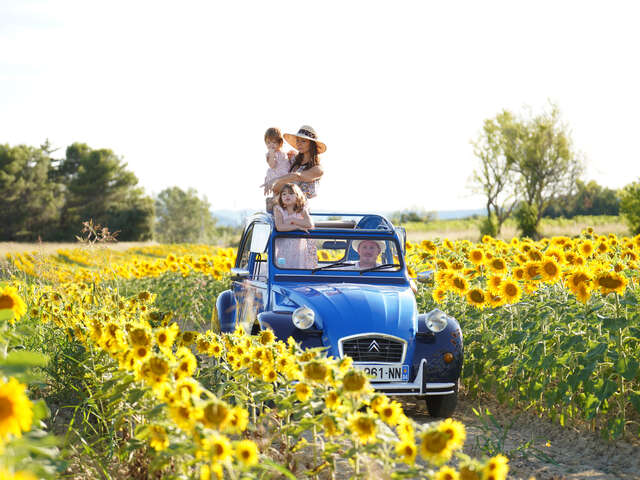 Oh my Deuche, location 2cv - Balades en Provence