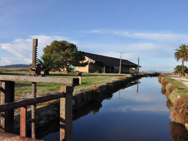 Visite guidée : Histoire du sel