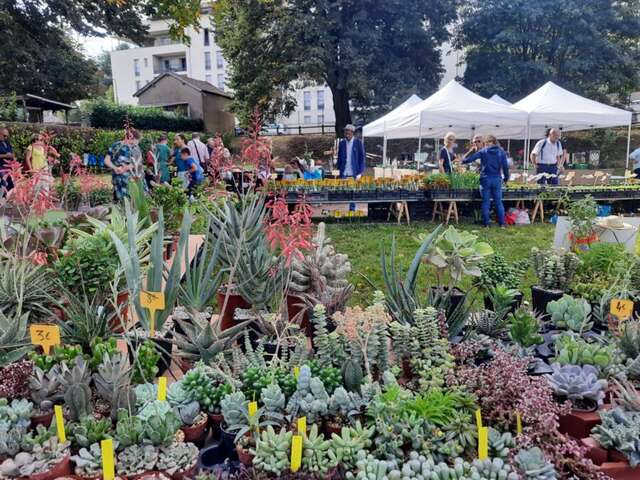 Marché aux plantes rares